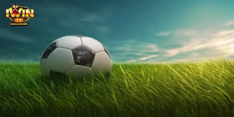 Cách sử dụng máy tính dự đoán bóng đá tối ưu nhất hiện nay