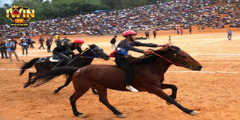 Lợi ích khi tham gia đua ngựa Iwin